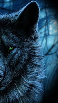 Download Wolf Wallpapers and Backgrounds 