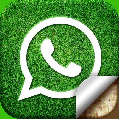 Download Whatsapp Wallpapers and Backgrounds - teahub.io