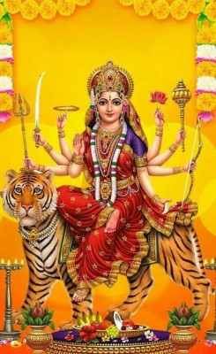 Maa Durga Shankri Nav Durga Image Jai Mata Di Photo Download 564x920 Wallpaper Teahub Io