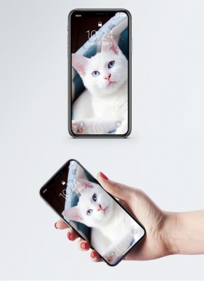 Berbaring Wallpaper Ponsel Kucing Putih - Hình Nền Điện Thoại Hình Trái Chanh  - HD Wallpaper