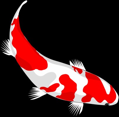 Koi - 1600x1200 Wallpaper - teahub.io