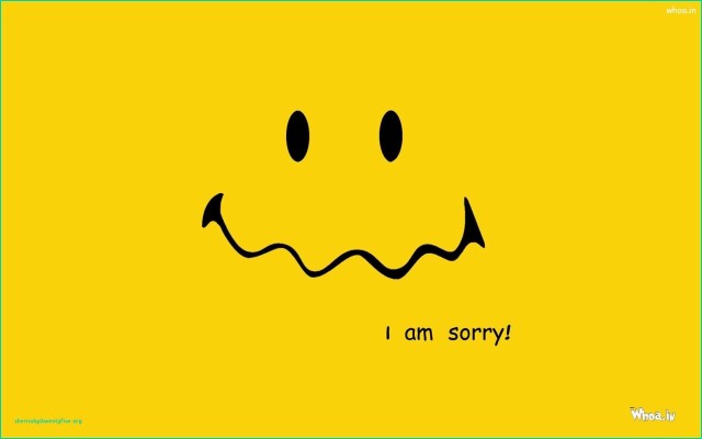 Im Sorry Wallpaper - 1024x768 Wallpaper - teahub.io
