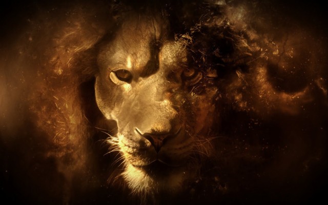 3d Lion Pictures Wallpaper - Download Lion Photos Hd - 1880x1175 Wallpaper  