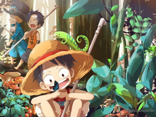 Download Luffy Hd Wallpapers and Backgrounds - teahub.io