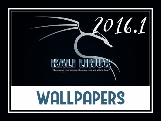 Kali Linux - Backtrack 4 - 1024x768 Wallpaper 