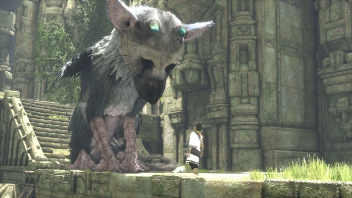 Last Guardian Wallpaper Trico - 3333x1876 Wallpaper - teahub.io