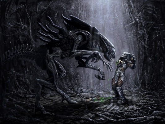 Alien Queen Vs Predator - Reina Alien Vs Depredador - 1024x768 ...