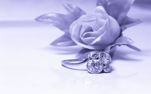 Wedding Rings Images With Flower Background - 1920x1200 Wallpaper