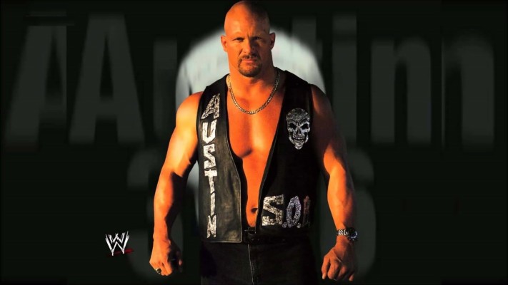 THQ WWE 13 - Xbox 360 - Jeux Xbox 360 - Rue du Commerce