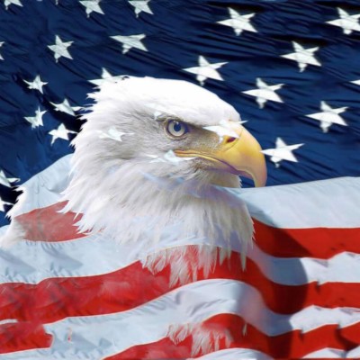 American, Eagle, Memorial, Day, Wallpaper, Widescreen, - Happy 4th Of ...
