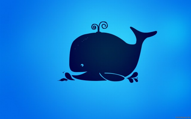 2560 X 1440 Narwhal 2560x1440 Wallpaper Teahub Io