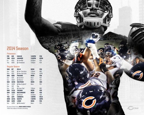 Chicago Bears Logo Hd - 2560x1440 Wallpaper - teahub.io