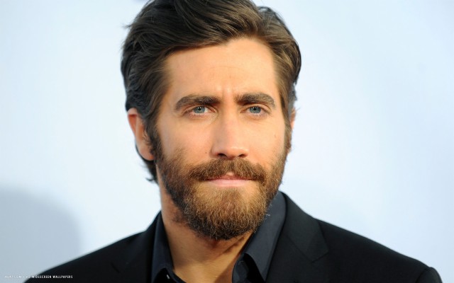 Jake Gyllenhaal Actor Hd Widescreen Wallpaper - Jake Gyllenhaal ...