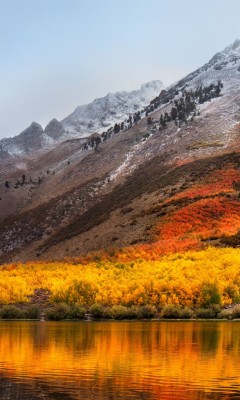 Macos High Sierra - Mac Os High Sierra - 768x1280 Wallpaper - teahub.io