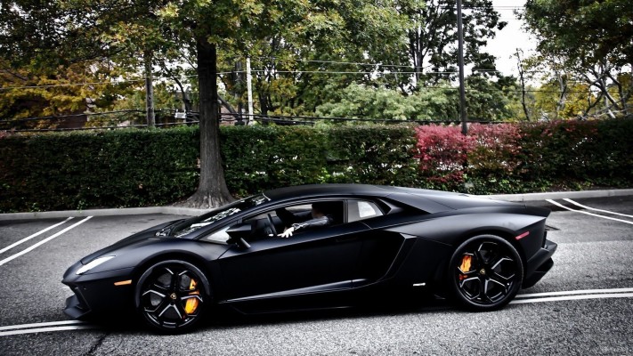 Photosut Farrari India Car Full Size Hd Wallpeper 11 - Lamborghini ...