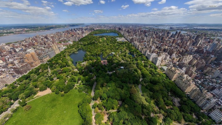 Central Park Wallpaper 22022 Data Src Free Central - Central Park ...