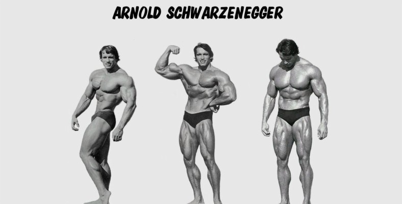 Arnold Hd Wallpaper Bodybuilding - 825x940 Wallpaper 