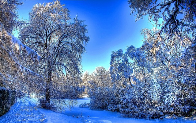 Beautiful Winter Snow Wallpaper - 2560x1600 Wallpaper 