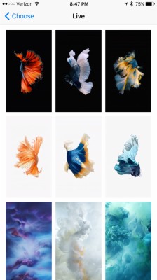 Download Live Iphone 6s Wallpapers and Backgrounds 