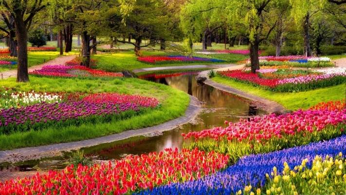 Beautiful Spring Garden Wallpaper - Flower Garden - 1920x1080 Wallpaper -  