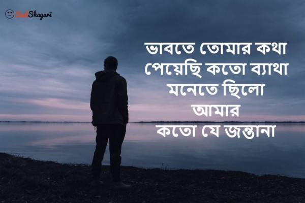 Emotional Bengali Sad Shayari - 1024x682 Wallpaper - teahub.io