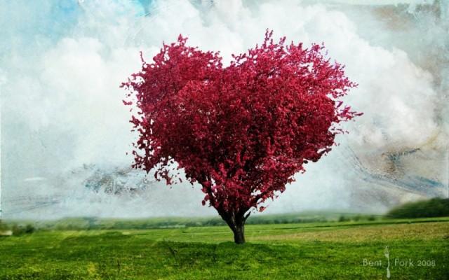 Love Tree Wallpapers Hd Wallpapers - Love Tree - 1080x675 Wallpaper