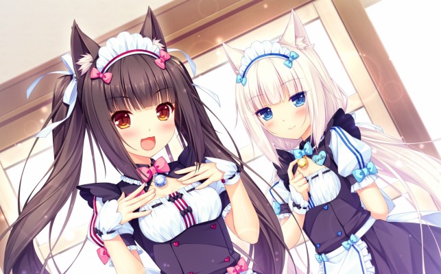 Chocola Nekopara Wallpaper By Carionto Chocola Nekopara - Nekopara 