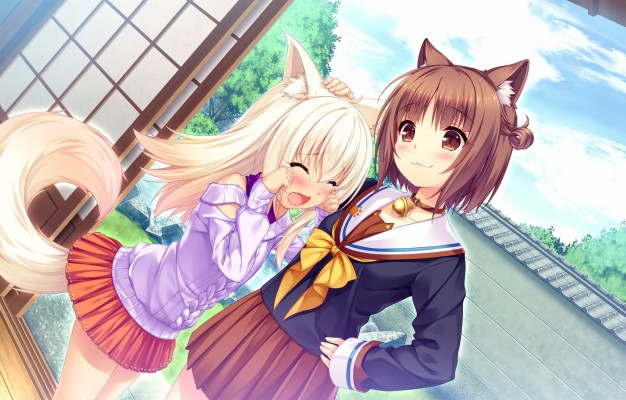 Nekopara Vanilla Waifu - 1366x768 Wallpaper - teahub.io