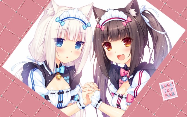 nekopara wallpaper hd 2960x1840 wallpaper teahub io