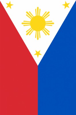 Philippine Flag Meaning Of 8 Rays The Sun About - Clipart Transparent ...