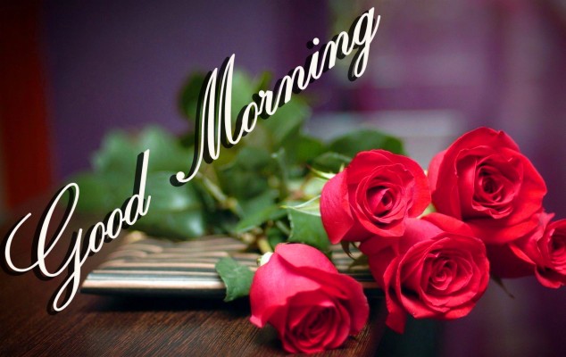 Download Good Morning Download Wallpapers and Backgrounds 