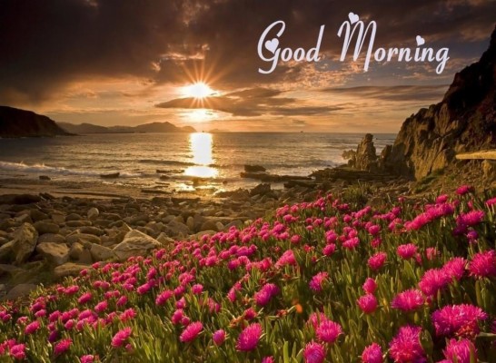Download Good Morning Download Wallpapers and Backgrounds 
