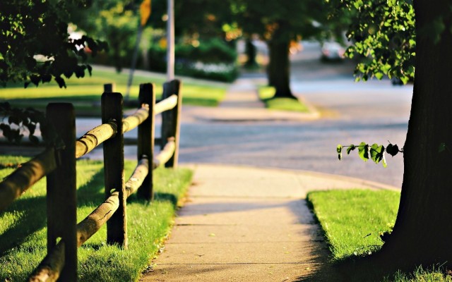 1920x1200, Nature Tree Leaves Fence Fencing Grass Green - Nature Tree -  1920x1200 Wallpaper 