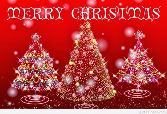 Merry Christmas Tree Wallpaper Hd Wish - Merry Christmas Wishes Gift ...