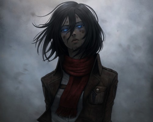 Attack On Titan Mikasa Wallpaper Phone 750x1334 Wallpaper Teahub Io