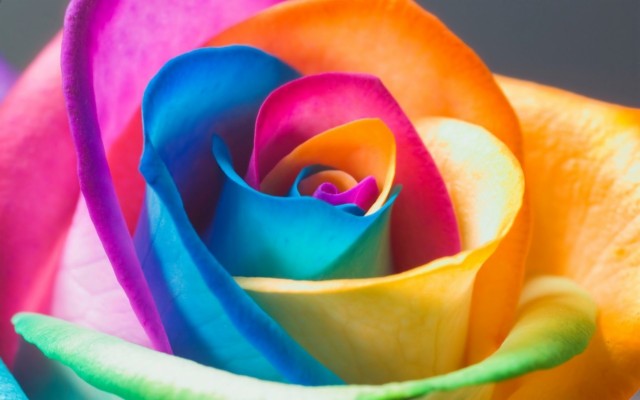 Rainbow Flower Wallpaper Desktop Rainbow Wallpaper - Nice And Beautiful ...