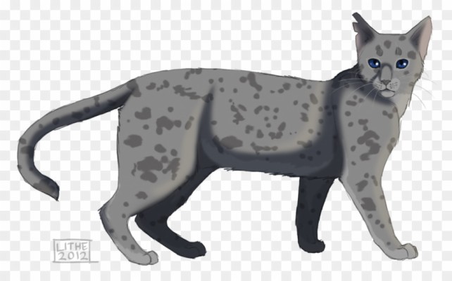 Transparent Png Image - Warrior Cats Ashfur - 900x560 Wallpaper - teahub.io