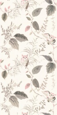 Kate Spade Owlish - 800x764 Wallpaper