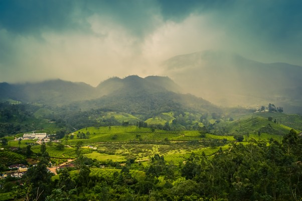 Kerala Nature Hd Wallpapers - Kerala Nature Photo Gallery - 1440x1080  Wallpaper 