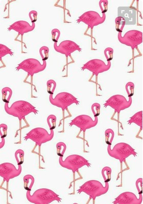 Papel De Parede Flamingo - 988x1408 Wallpaper - teahub.io