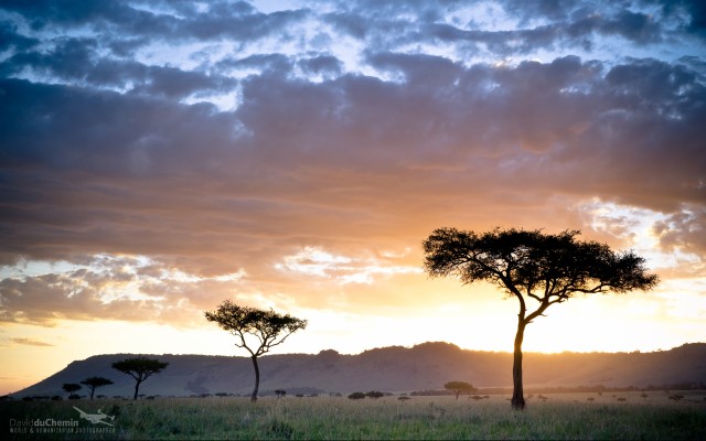 Kenya Landscape - 2560x1600 Wallpaper - teahub.io