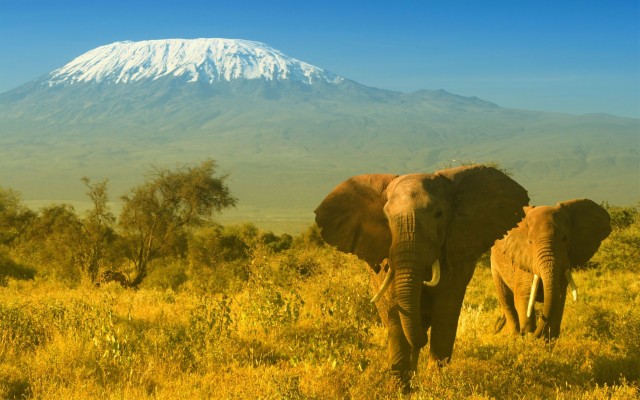 Kenya Wallpapers Pc Amboseli National Park X Wallpaper Teahub Io