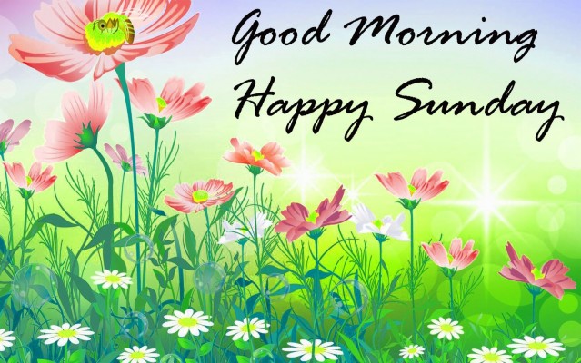 Sunday Good Morning Images Wallpaper Free Download - Good Morning ...