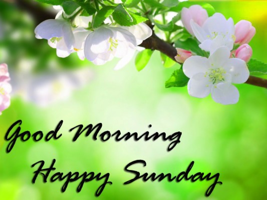 Sunday Good Morning Images Wallpaper Free Download - Good Morning ...