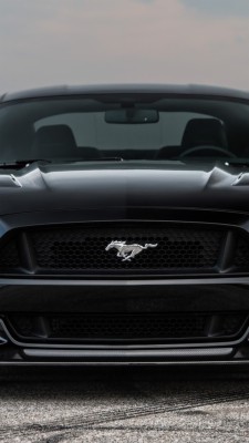 Mustang Hd Wallpaper Black