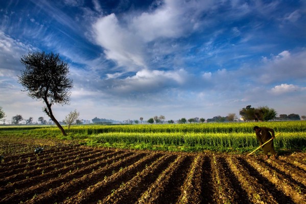 People, Field, Countryside, Pakistan, Photos, Nature, - Agriculture In ...