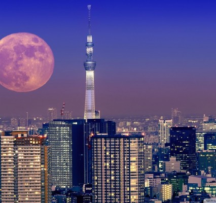 Aesthetic Tokyo Skyline Night 1280x10 Wallpaper Teahub Io