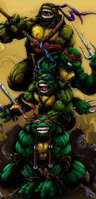 Hd Teenage Mutant Ninja Turtles Galaxy S8 Wallpapers Ninja Turtles Wallpaper Hd Mobile 1440x2960 Wallpaper Teahub Io