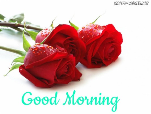 Good Morning Wishes With Yellow Rose Pictures Good Morning Images On Frifay 682x900 Wallpaper Teahub Io