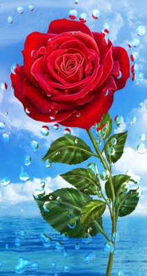 Wallpaper For Mobile Rose Flower